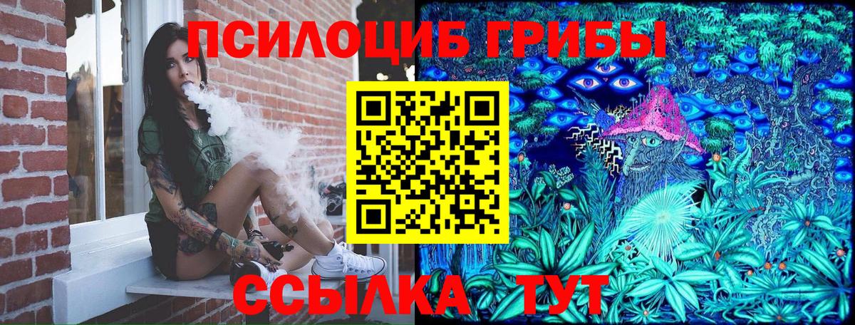 Псилоцибиновые грибы Psilocybe Губкин